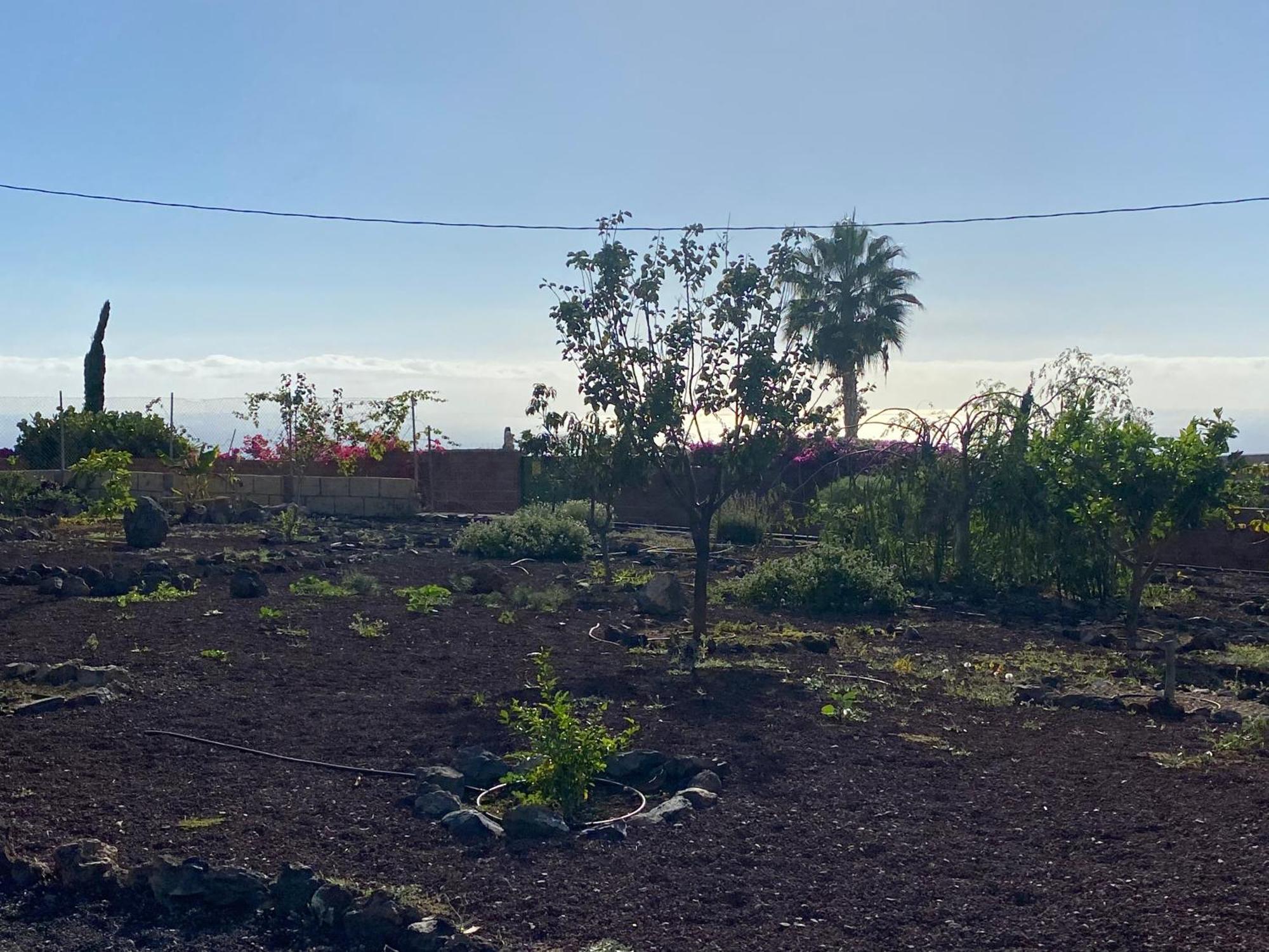Finca Arcoiris Tenerife Vv Guía de Isora Exterior foto