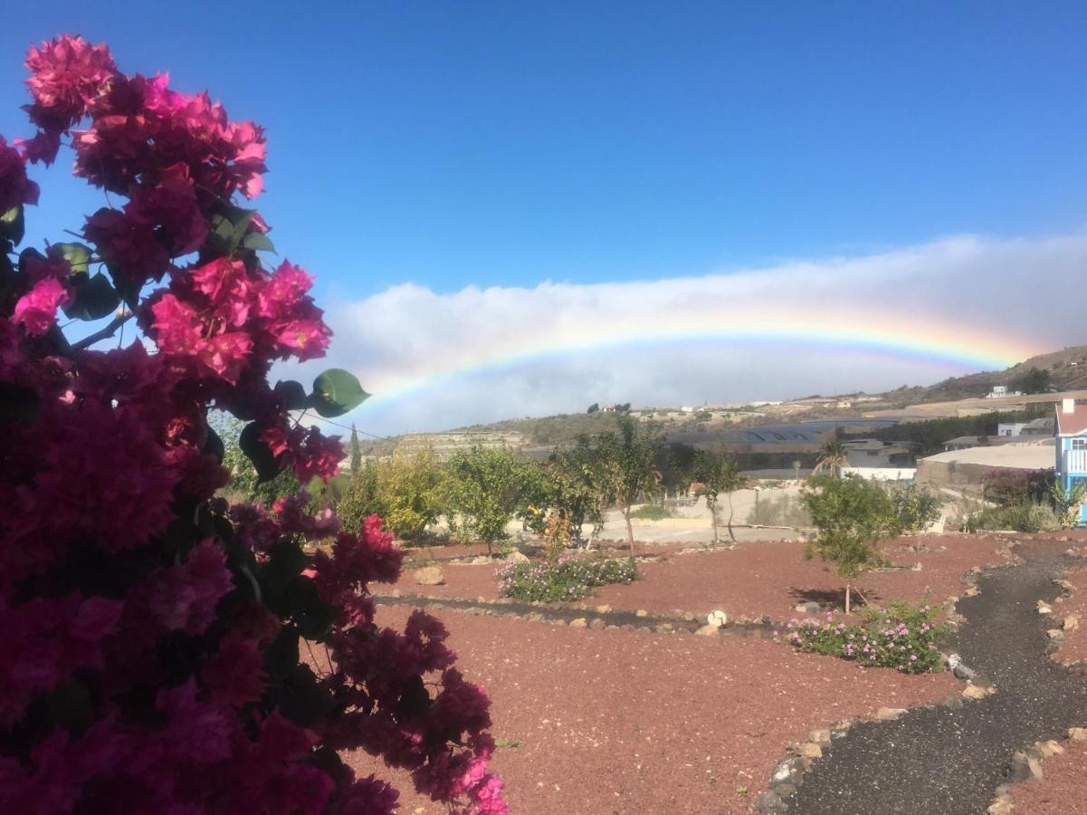 Finca Arcoiris Tenerife Vv Guía de Isora Exterior foto